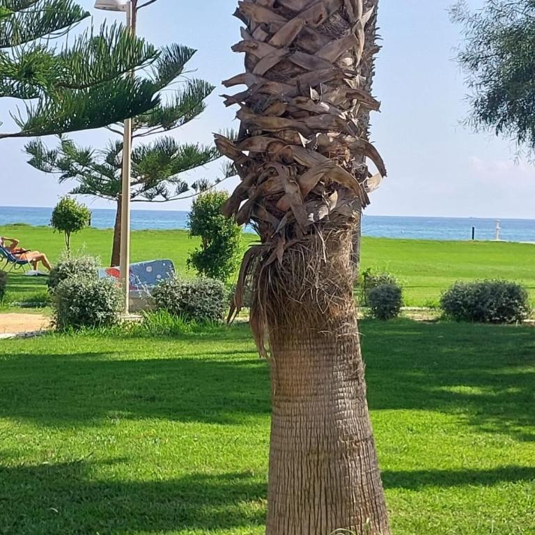 Apartamento CalaBlanca I primera línea de playa Oropesa de Mar - Apartamento de 2 dormitorios - 12