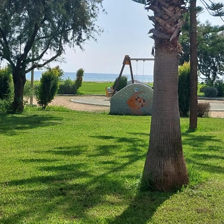 Apartamento CalaBlanca I primera línea de playa Oropesa de Mar - Apartamento de 2 dormitorios - 14
