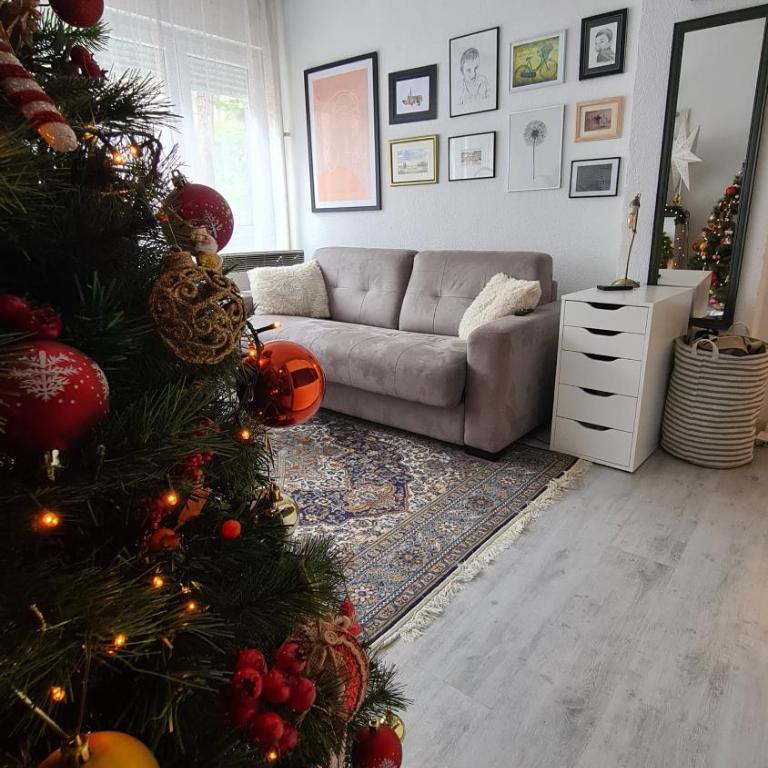 Peni Apartman Centar - Apartman sa 2 Spavaće Sobe - 3
