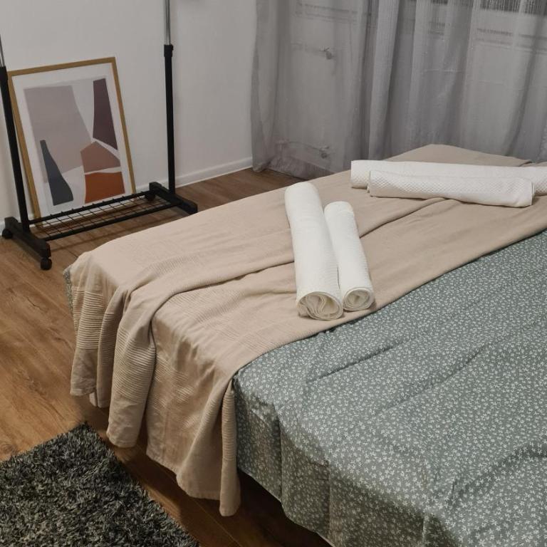 Peni Apartman Centar - Apartman sa 2 Spavaće Sobe - 19
