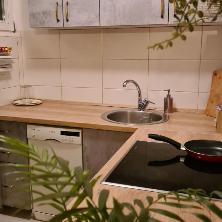 Peni Apartman Centar - Apartman sa 2 Spavaće Sobe - 16