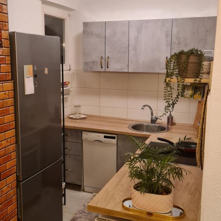 Peni Apartman Centar - Apartman sa 2 Spavaće Sobe - 15