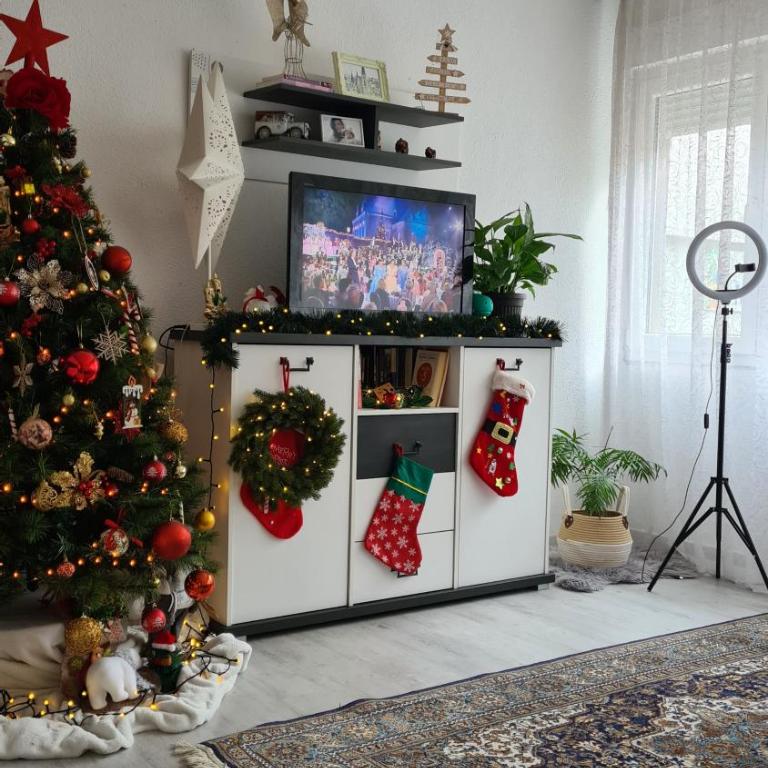 Peni Apartman Centar - Apartman sa 2 Spavaće Sobe - 4