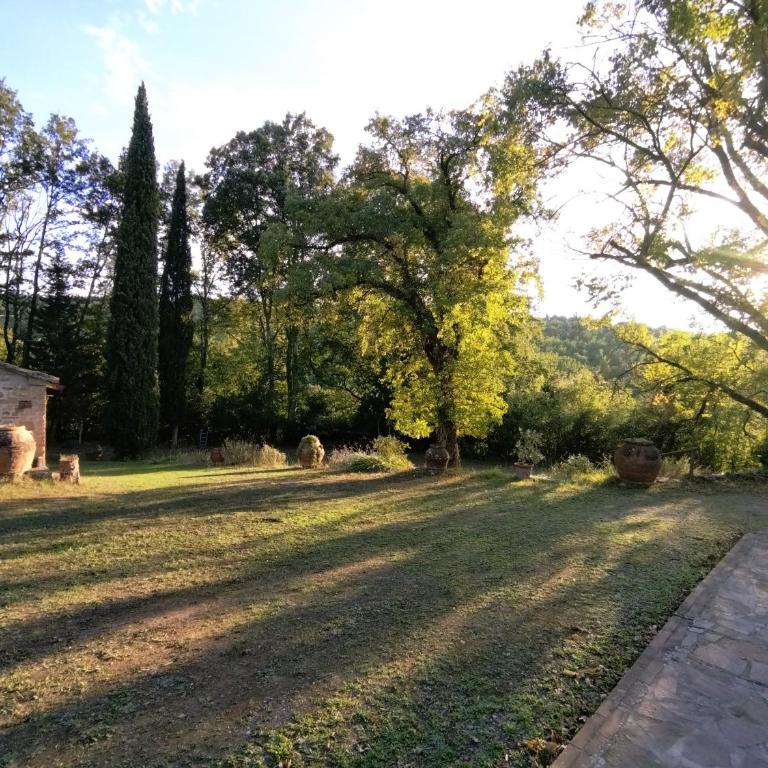 Il Bosco del Lebbio - Appartamento con 1 Camera da Letto - 5