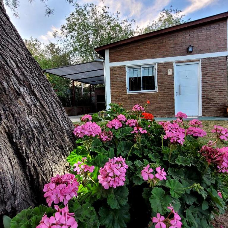 La Algarroba - Apartamento de 1 dormitorio - 36
