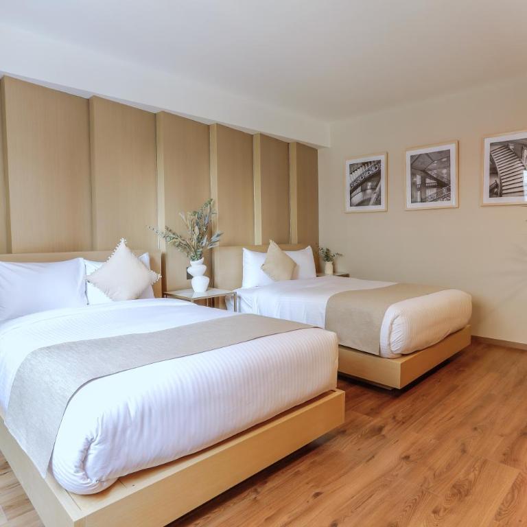 Reforma Capital Inn - Suite Doble Estándar - 3
