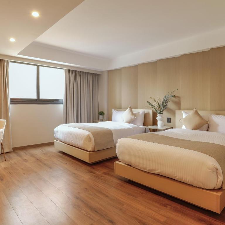 Reforma Capital Inn - Suite Doble Estándar - 4