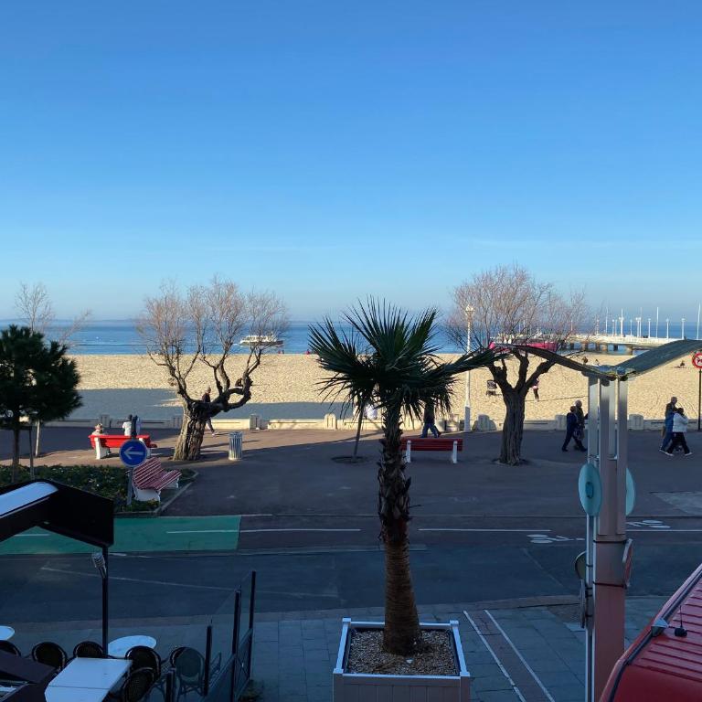 Arcachon : studio duplex face plage, centre-ville, Wi-Fi, parking - FR-1-319-500 - Monolocale - 1