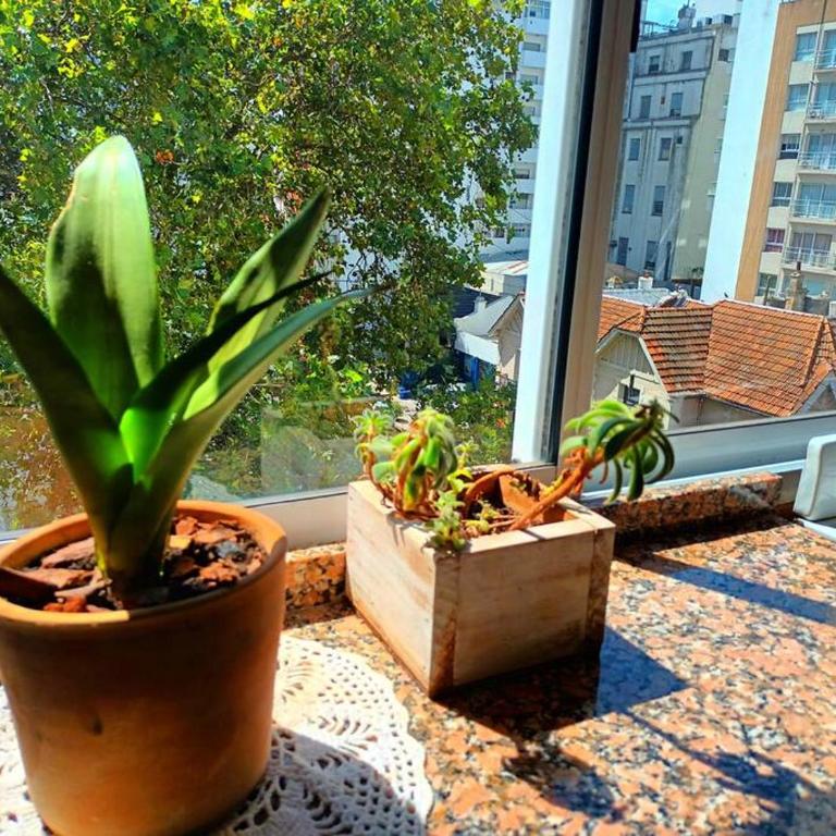 El encantador mardel - Apartamento de 1 dormitorio - 6