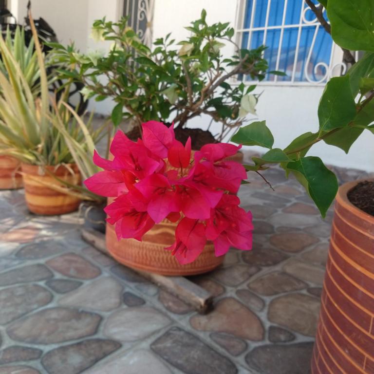 LA CASA DEL VIEJO GEORGE - Casa con 1 dormitorio - 1