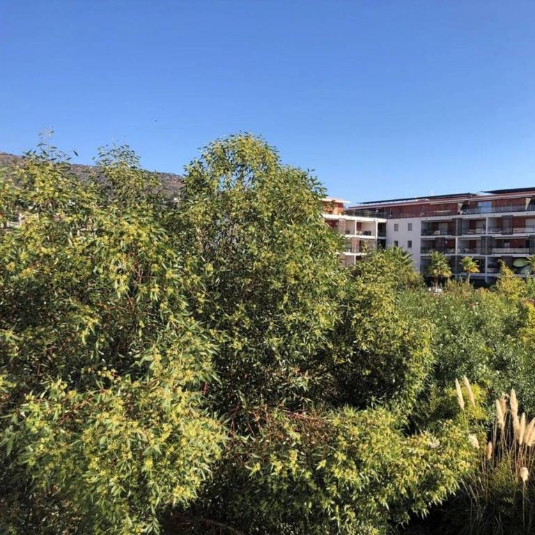 Appartement 3 pièces refait à neuf avec parking, 4 couchages, proche plage et commerces - Le Lavandou - FR-1-251-584 - Appartamento - 15