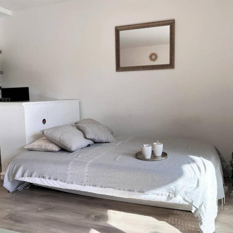 Charmant T2 climatisé avec piscine, terrasse, parking et Wi-Fi - 4 couchages, Le Lavandou - FR-1-251-540 - Appartement - 5