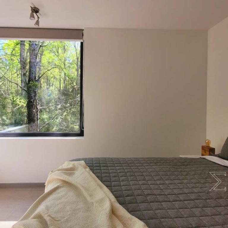 Amplio Depto al Bosque en Pucón - Apartamento de 2 dormitorios - 2