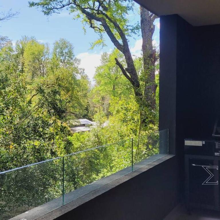 Amplio Depto al Bosque en Pucón - Apartamento de 2 dormitorios - 11