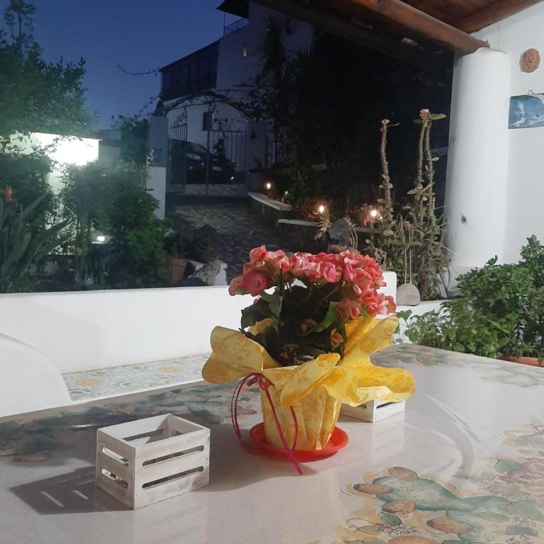 Casa Vacanze "Villa Angelina" - Camera Matrimoniale Standard - 4
