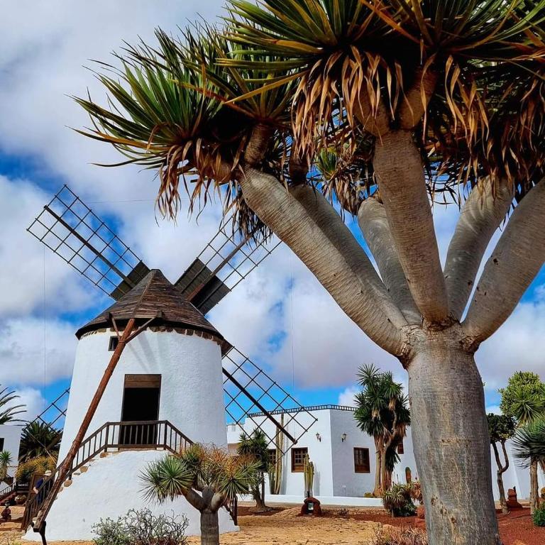 Casa del Mar Air-conditioned Apartment with Swimming Pools - Corralejo Playa - Apartamento - 89