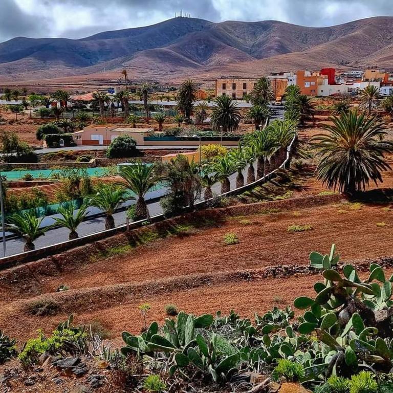 Casa del Mar Air-conditioned Apartment with Swimming Pools - Corralejo Playa - Apartamento - 98