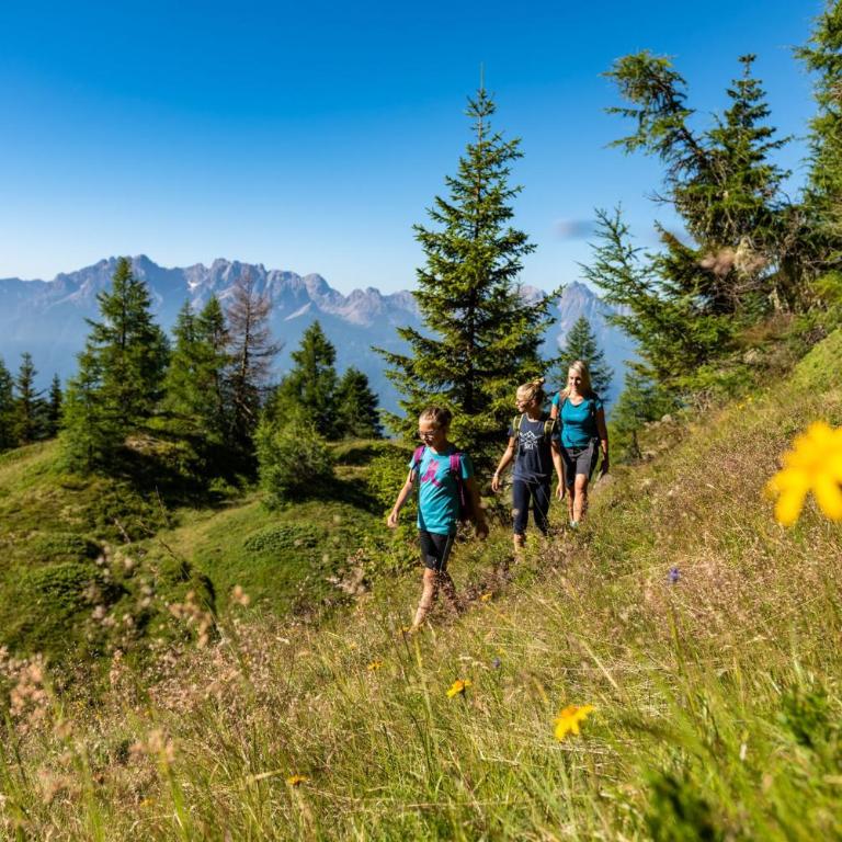 Almchalet Goldbergleiten - Haus mit 3 Schlafzimmern - 50