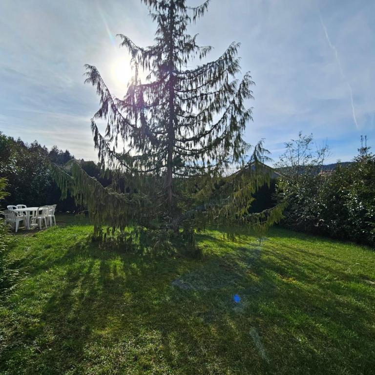 Appartement Chaleureux Gérardmer proche forêt - Appartement 2 Chambres - 21