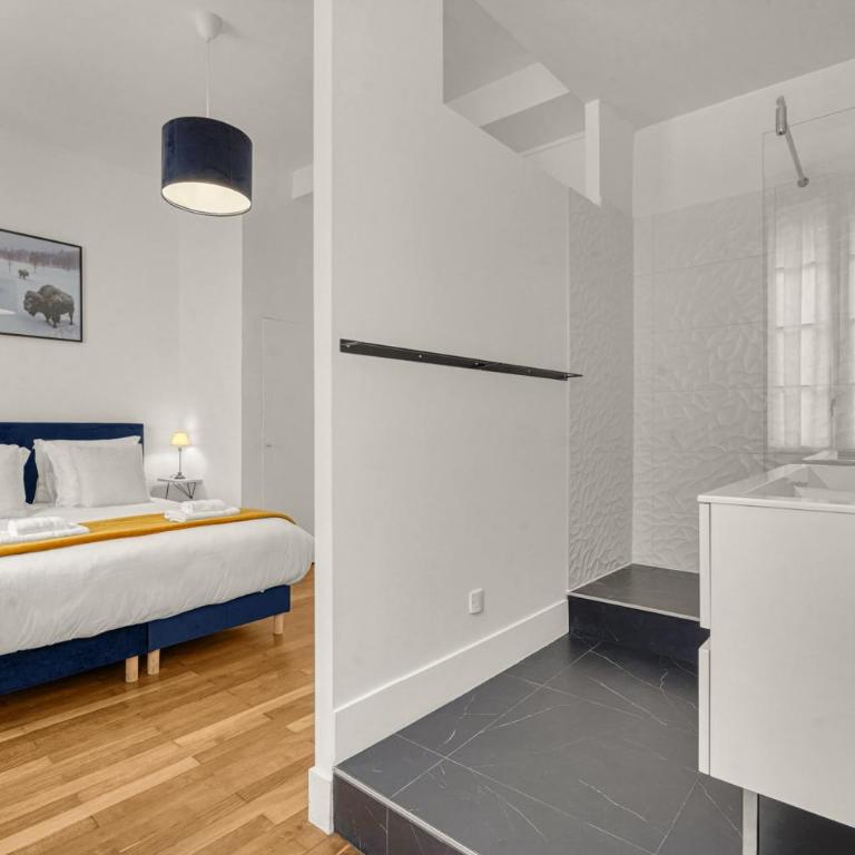 Lamazou - Appt climatisé en centre-ville - Appartement 1 Chambre - 10
