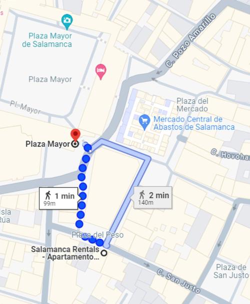 Salamanca Rentals - Apartamento con terraza a 1 minuto de la Plaza Mayor - Apartamento de 2 dormitorios - 30