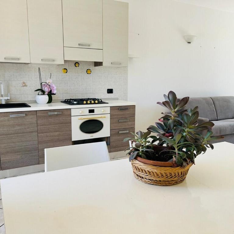 Casa Ulivi Blu - Appartamento con 2 Camere da Letto - 5