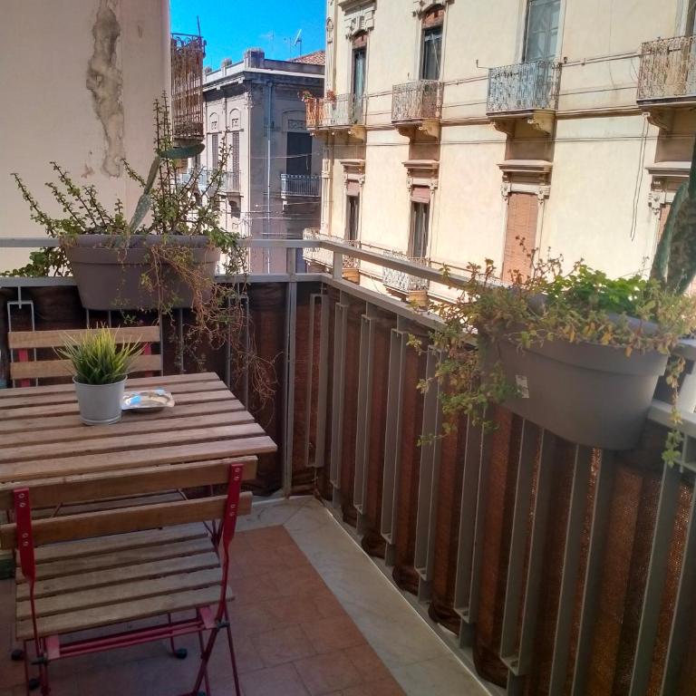 Siculè B&B - Single Room with Private Bathroom - 4