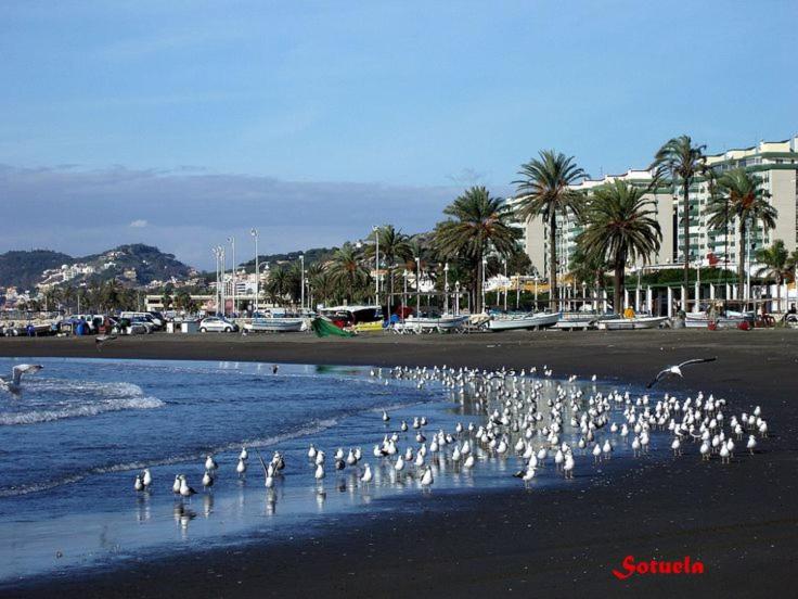 Apartamento Solymar - Apartamento de 1 dormitorio - 22