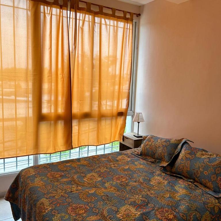 Apartamentos El Viñedo 8 - Apartamento Estándar de 2 dormitorios - 11
