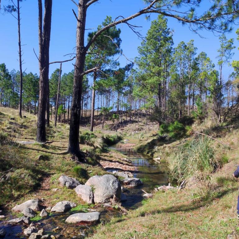 Casa en las sierras - Casa con 1 dormitorio - 21