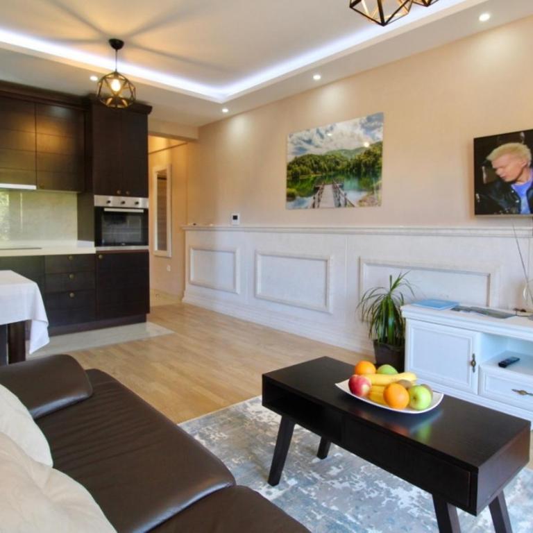 Central Park Apartment - One-Bedroom Apartment - 3