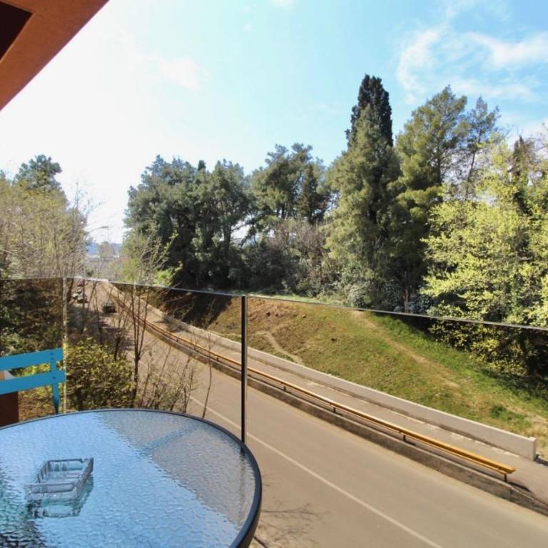 Central Park Apartment - One-Bedroom Apartment - 15