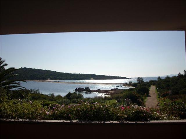 Residence Porto Coda Cavallo - Appartamento con 1 Camera da Letto (4 Adulti) - 14