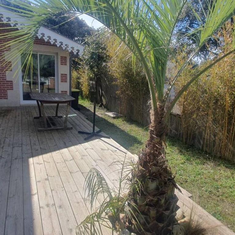 Villa proche plage de l'Amélie - 3057 - Villa - 15