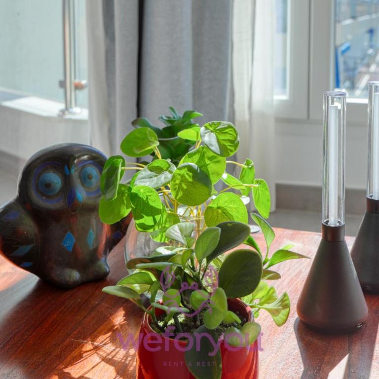 weforyou Fuengirola Center Sunny & Beach - Apartamento de 2 dormitorios - 30