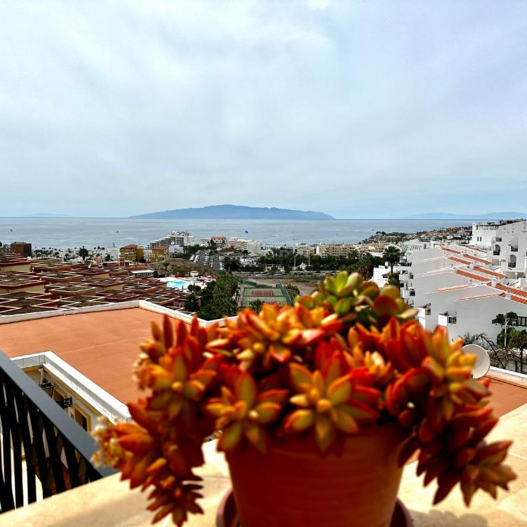 Costa Adeje - Amazing Ocean And Teide View - Fast WiFi, Air Con - Apartamento de 1 dormitorio - 37