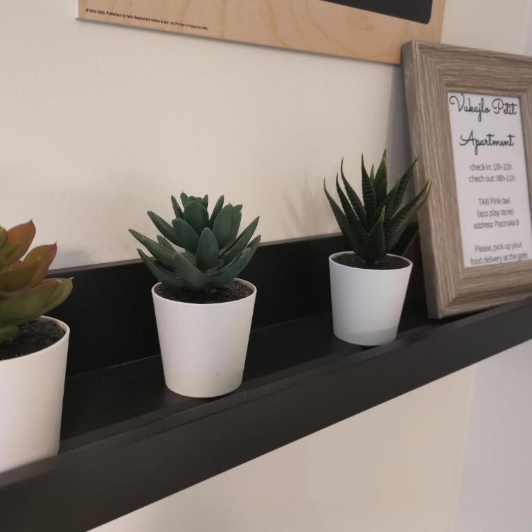 Vukajlo Petit - Apartman sa 1 Spavaćom Sobom - 30