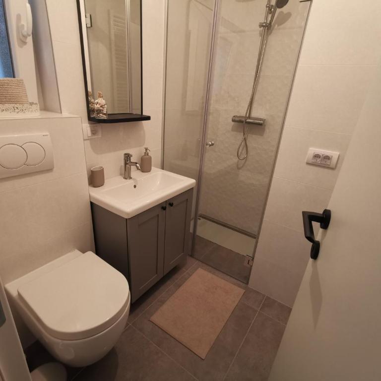 Vukajlo Petit - Apartman sa 1 Spavaćom Sobom - 48