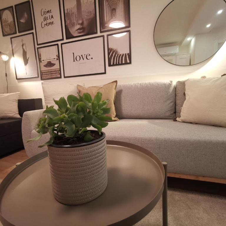 Vukajlo Petit - Apartman sa 1 Spavaćom Sobom - 1