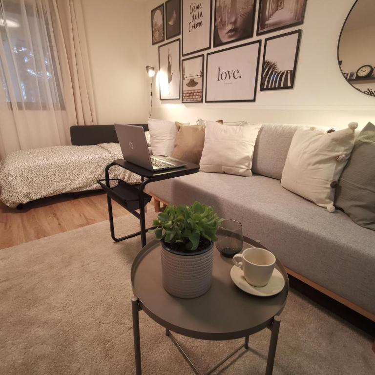 Vukajlo Petit - Apartman sa 1 Spavaćom Sobom - 15