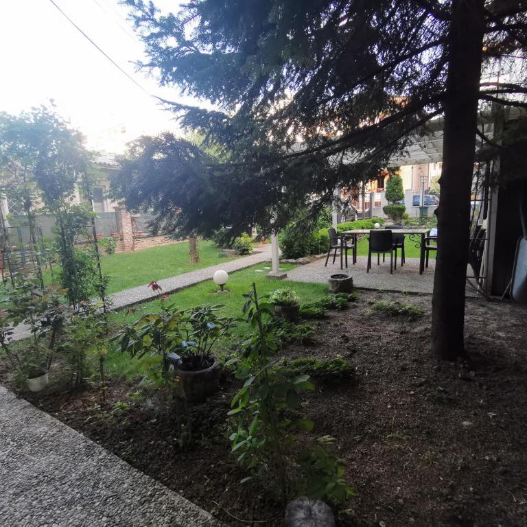 Vukajlo Petit - Apartman sa 1 Spavaćom Sobom - 81