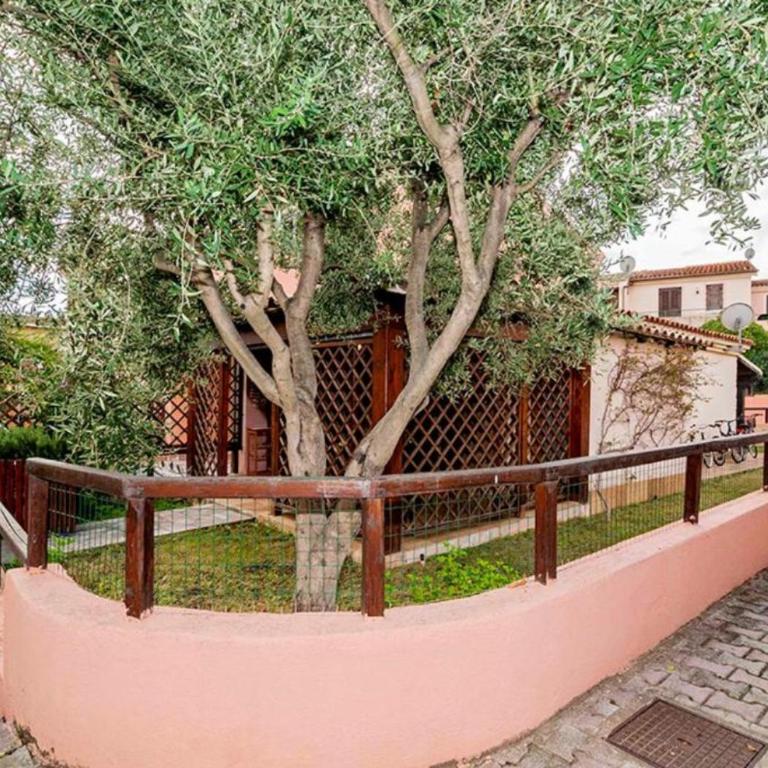 Casa Podda - Casa Vacanze - 22