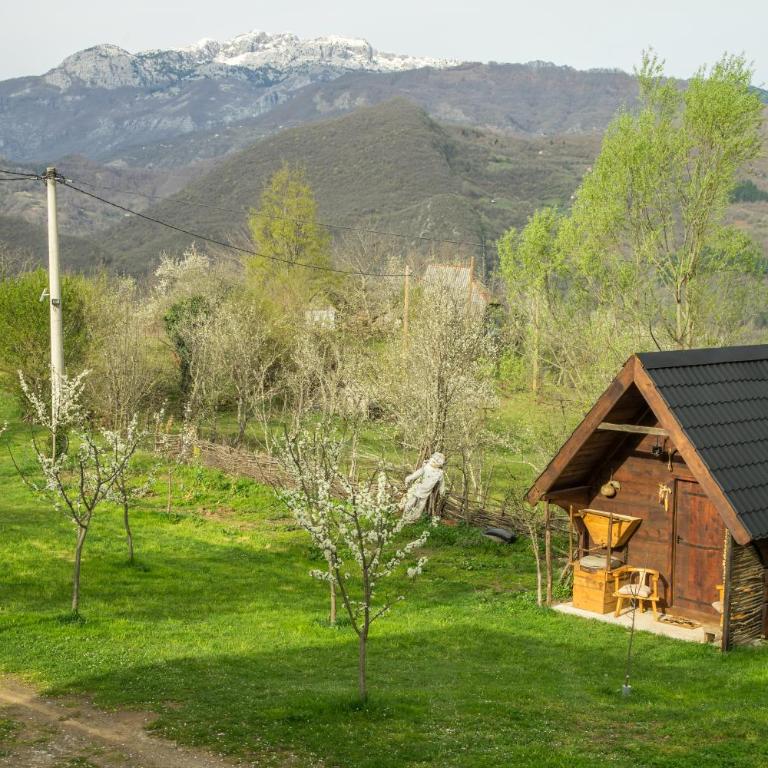 Djurdjevina Family Farm - Kuća sa 1 Spavaćom Sobom - 3