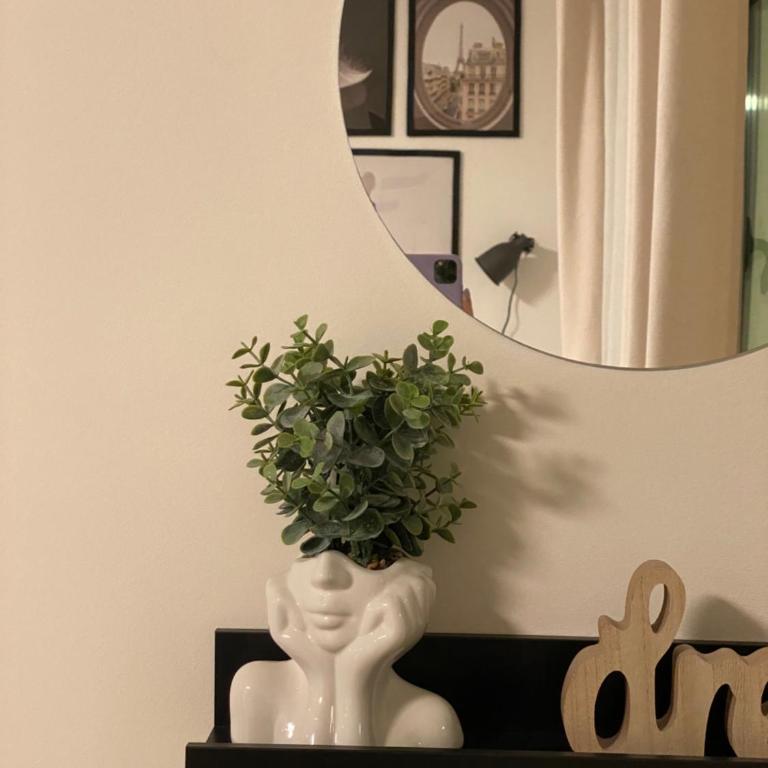 Vukajlo Petit - Apartman sa 1 Spavaćom Sobom - 51