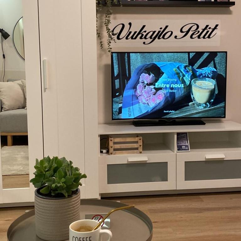 Vukajlo Petit - Apartman sa 1 Spavaćom Sobom - 17