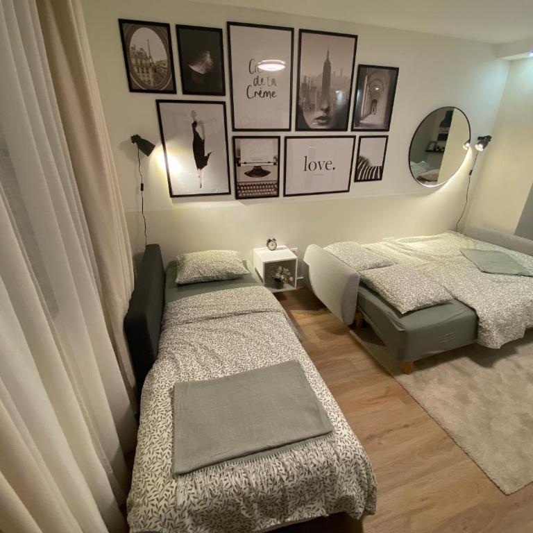 Vukajlo Petit - Apartman sa 1 Spavaćom Sobom - 58