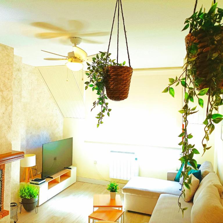 Apartamento Alba - Appartement 2 Chambres - 1
