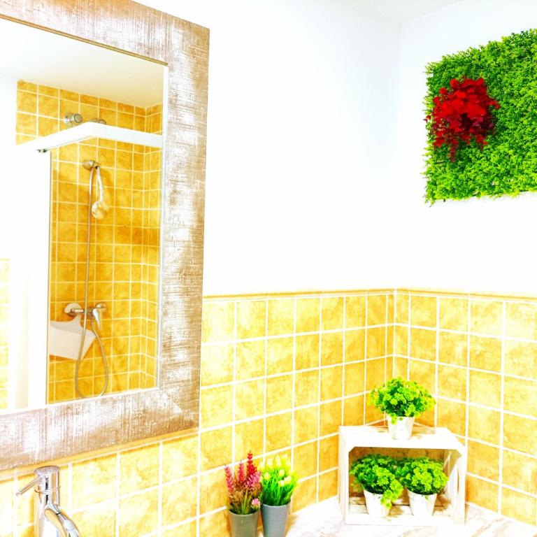 Apartamento Alba - Appartement 2 Chambres - 67