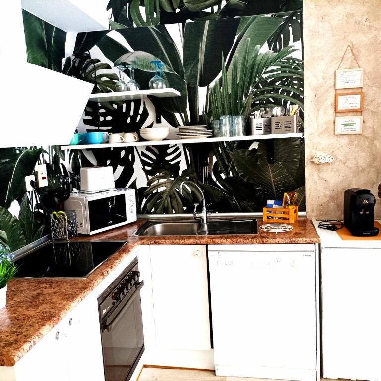 Apartamento Alba - Appartement 2 Chambres - 6