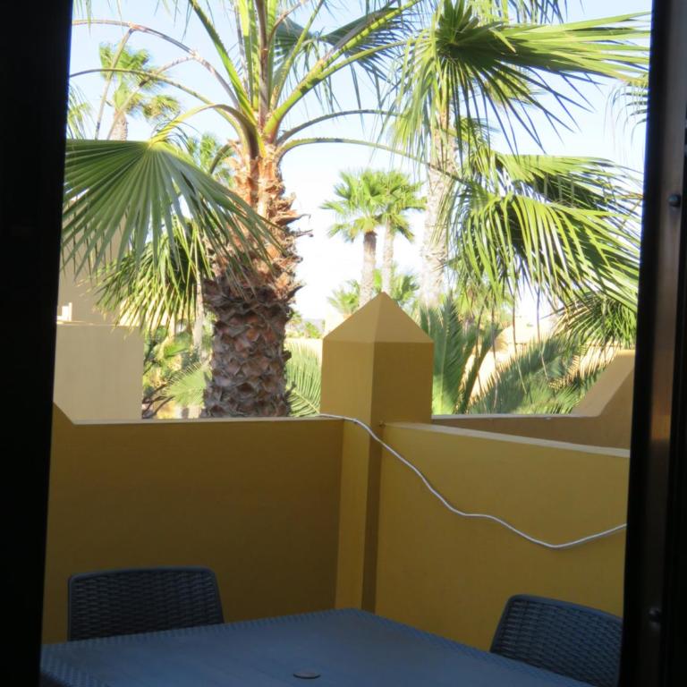 Gino House - Apartamento - 9